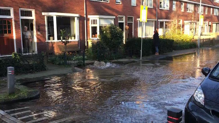 Vroeg waterballet in Zaandam (filmpje)