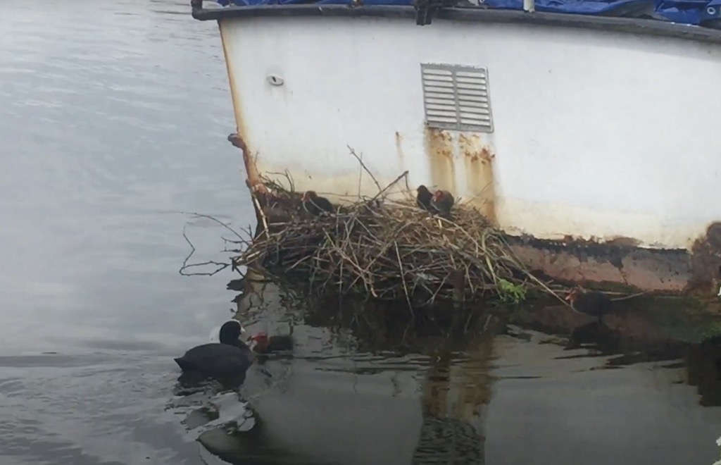 Naar Buiten! Brutalen hebben de halve wereld - De Orkaan Junior