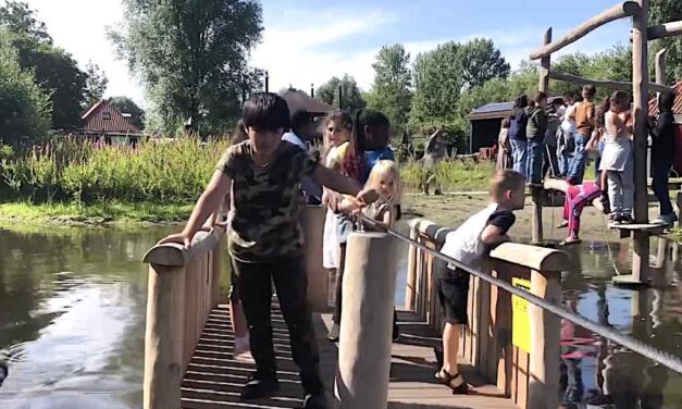 Natuurspelen in Darwinpark (video)